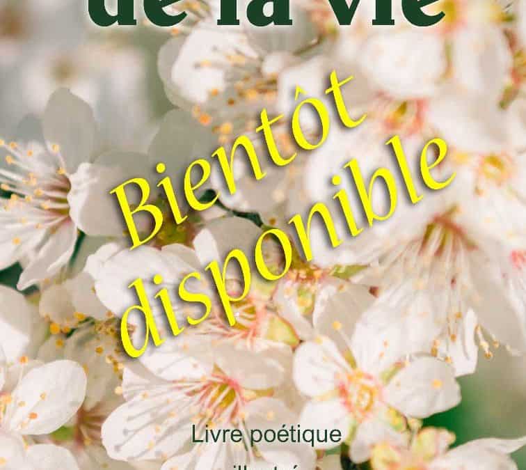 Bientôt disponible…