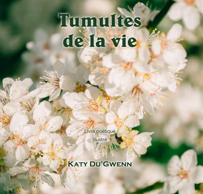 Mes poèmes audios sont disponibles !!!