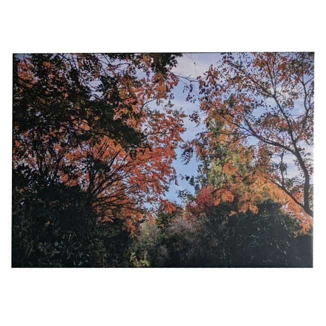 Parc de la Maourine (Toulouse) 2