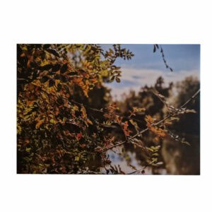 Parc de la Maourine (Toulouse)