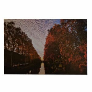 Promenade au bord du Canal du Midi 2