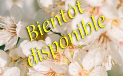 Bientôt disponible…