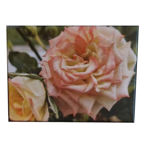 Roses sur toile