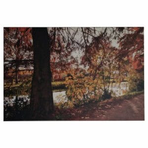 Promenade au bord du Canal du Midi