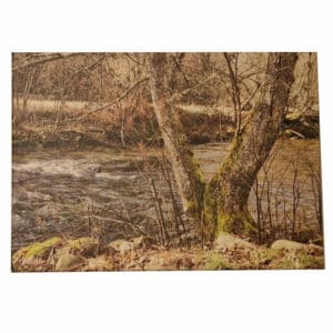 Promenade en bord de rivière