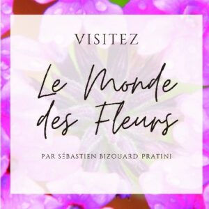 Visitez Le Monde Des Fleurs